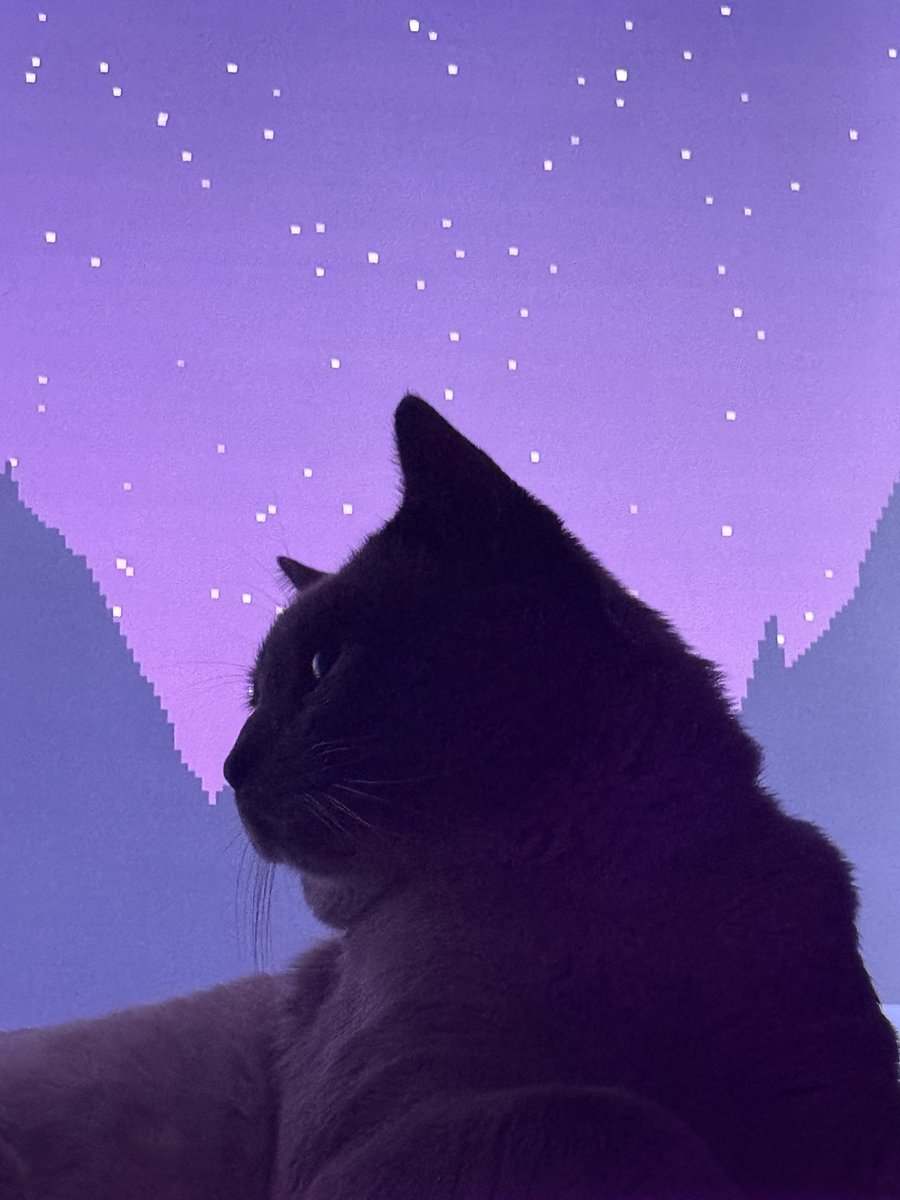 MultiversMingle's tweet image. Mr. Meowgi’s so precious I love him so much 😍🥹 #cat