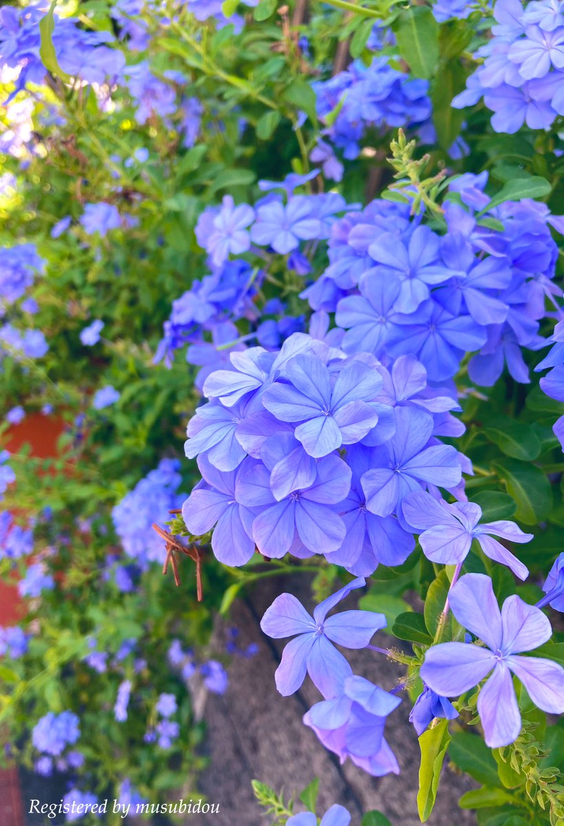 I hope you will have a nice Sunday.