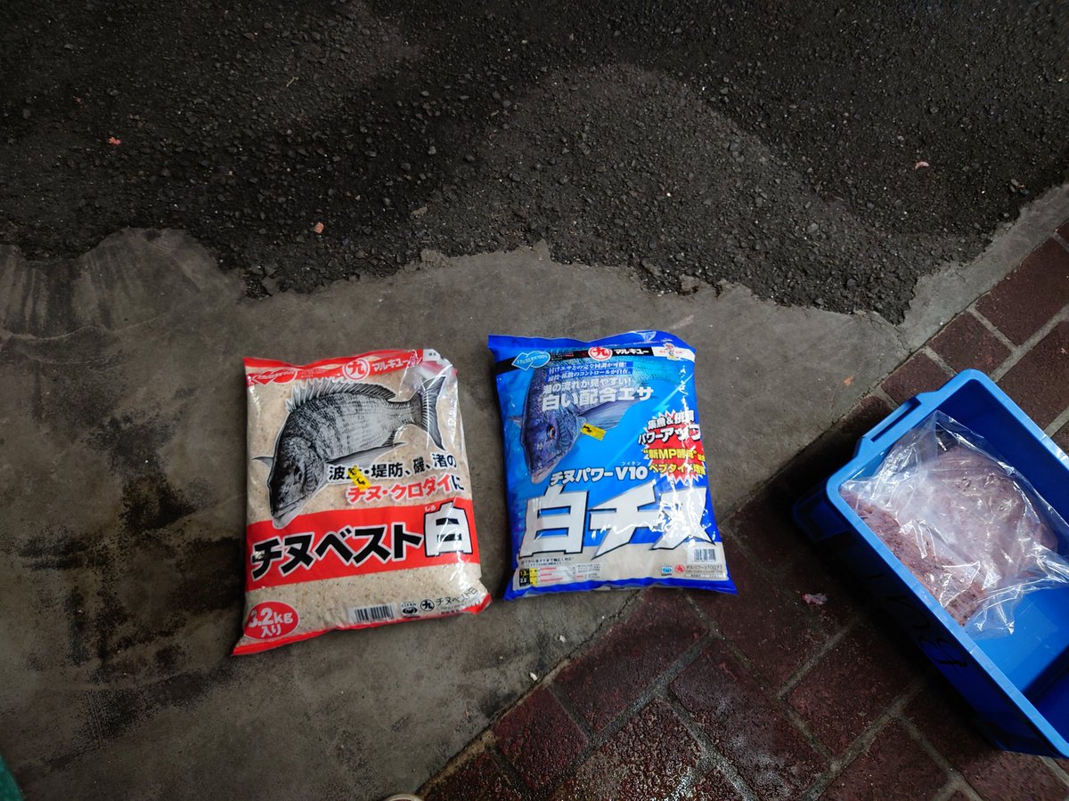 kotetu729's tweet image. 近場にチヌ釣り