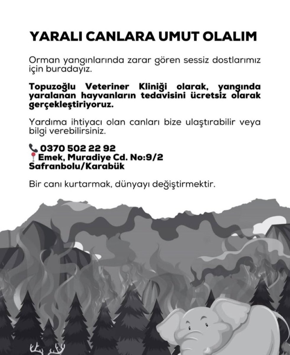 YAYALIM

karabük’de yangından etkilenen bütün hayvanlar için ücretsiz hizmet veriyorlar

📌 topuzoğlu veteriner, 0370 502 22 92