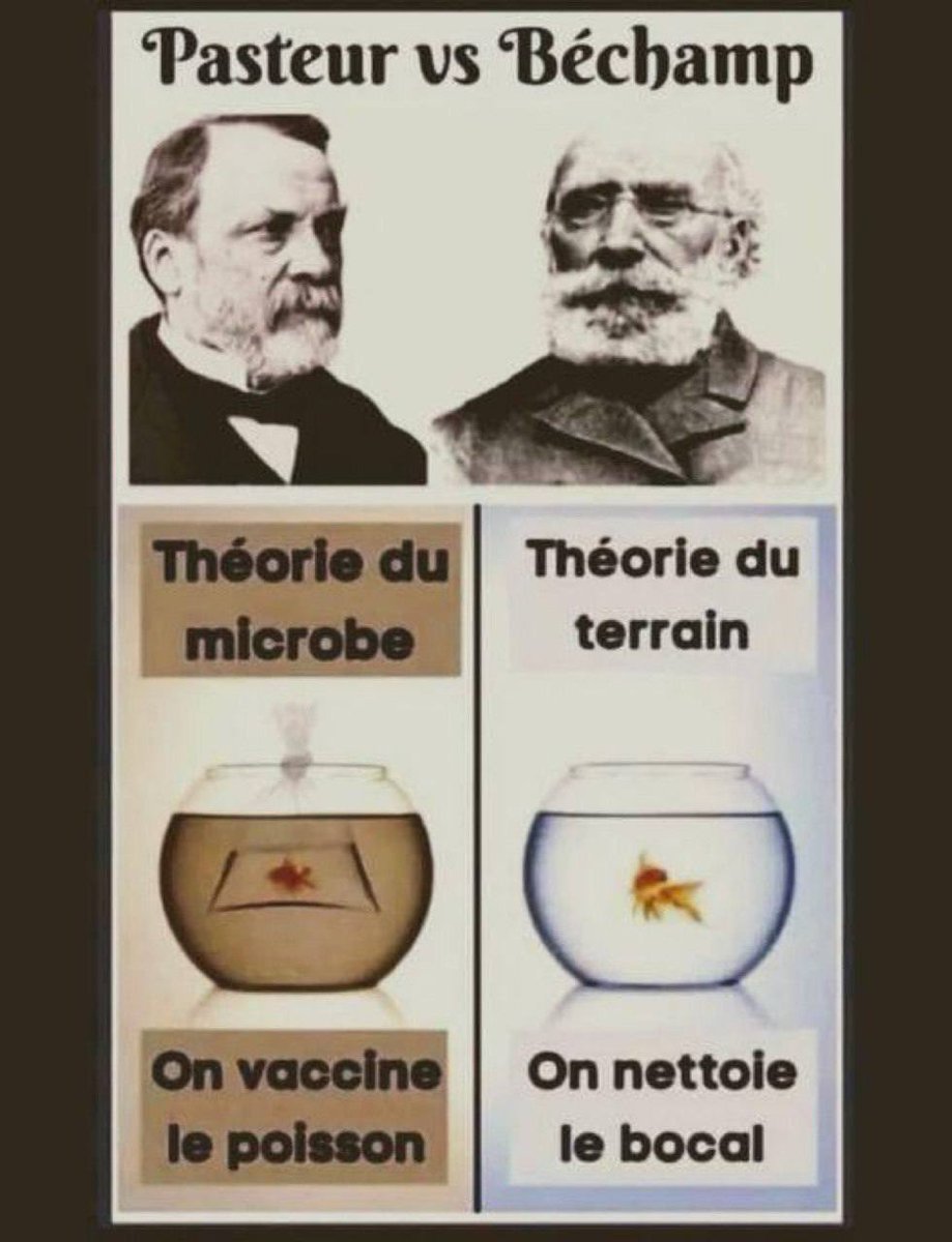 AlexSofamous's tweet image. #Pasteur = Imposteur ! ⚠️🚨