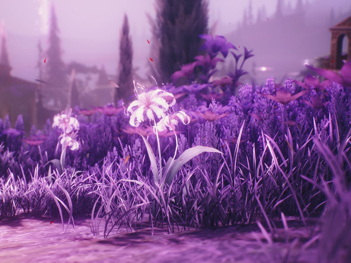 astuurd's tweet image. This place is a gem for wuwa photographers.💜