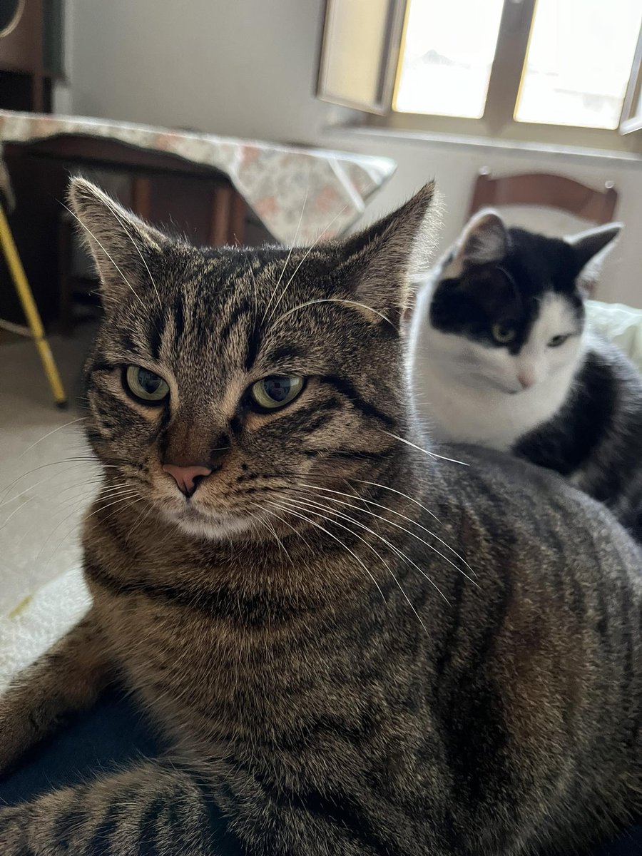 Mikey e Luna.❤️ il mio mondo.