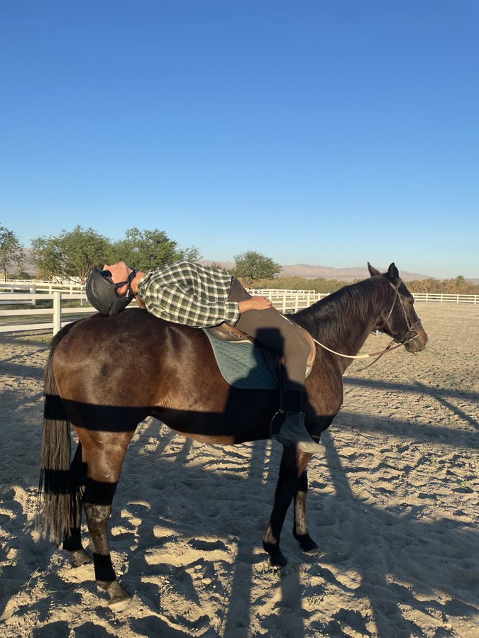 AprilWheeler5's tweet photo. @GloriousAllianc Hackleton let K do that as well! Surprising since that is at the old, old ranch and he was very much under #RacingRules then! ๐ฅฐ https://t.co/FeRg8cLh5u