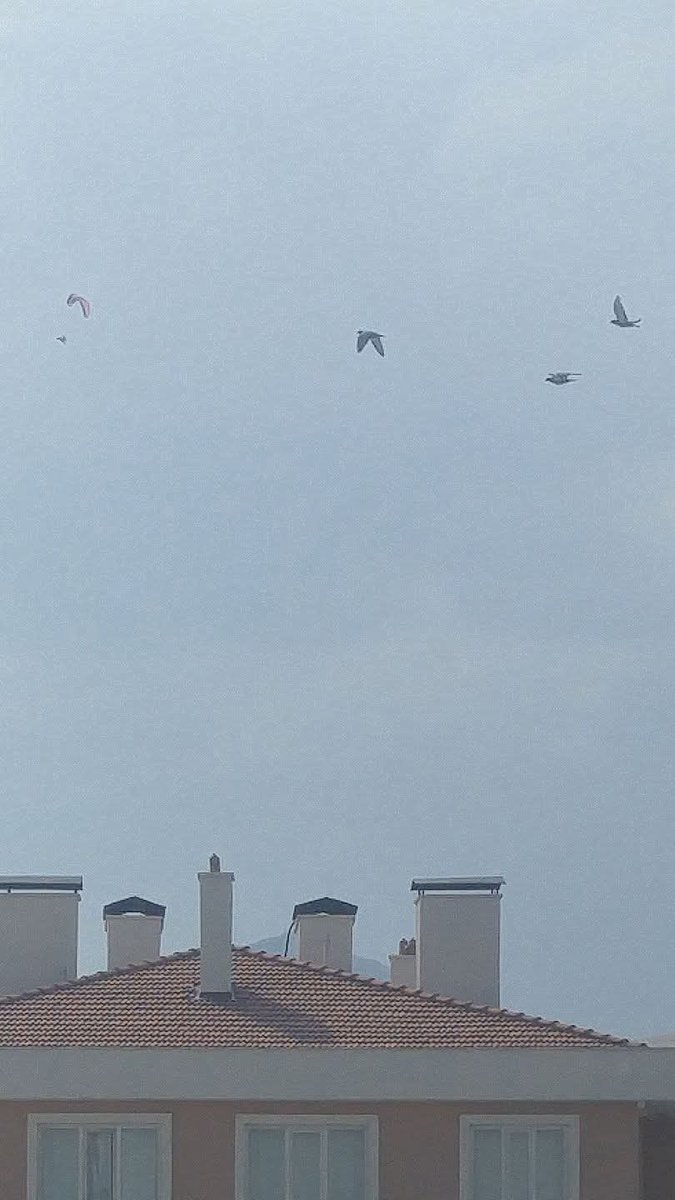 Bazen bakarsın. Çok sonra görürsün neye baktığını. İyi geceler