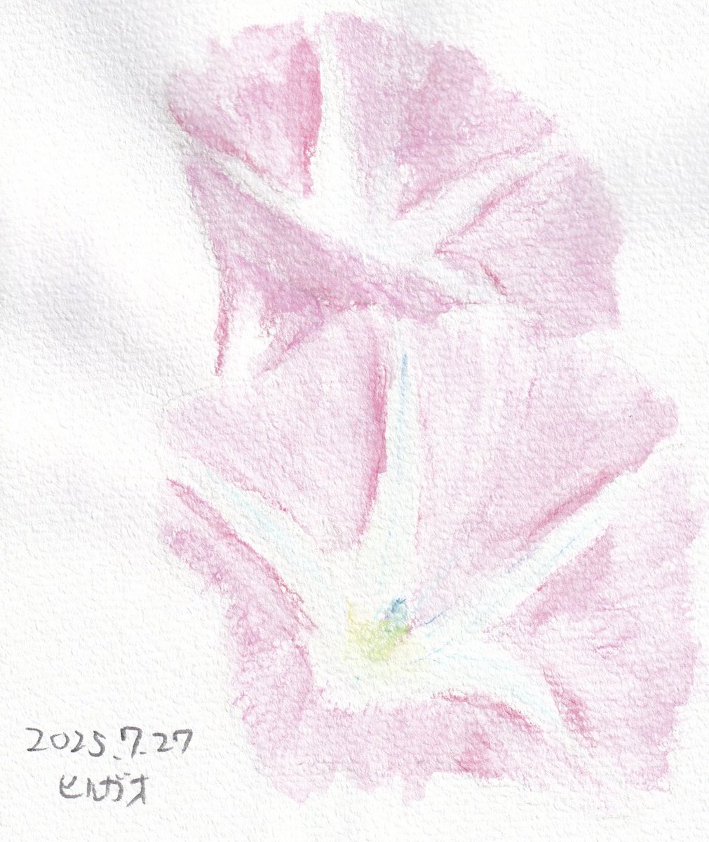 slash36daigo's tweet image. #ヒノダイゴお絵描きレッスン

ヒルガオ

今日は福岡タワーマジケンDAY2！

花言葉は「縁」

いい縁がいっぱい！