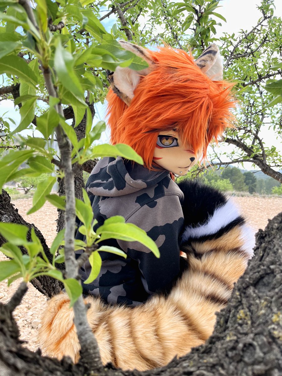 Fantasy_Pup's tweet image. ✨ Hewwo! I’m Garawai ✨
I&apos;m a kemono fursuiter from 🇪🇦
I draw and make content for tiktok, Instagram and YouTube 💙 

• Makers:
Reddemon2333 / 布丁 / Cucu.Tantan

❌ racists/pedos/zoos ❌

⭐[Channel]t.me/+RBdwroLFE3JmM…
⭐[Commission info]
 garawai.carrd.co