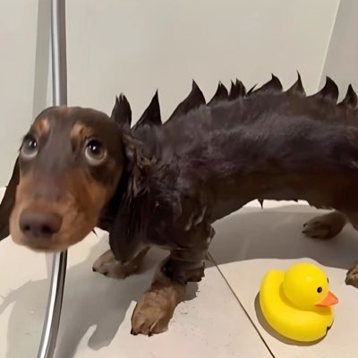 #NewProfilePic
