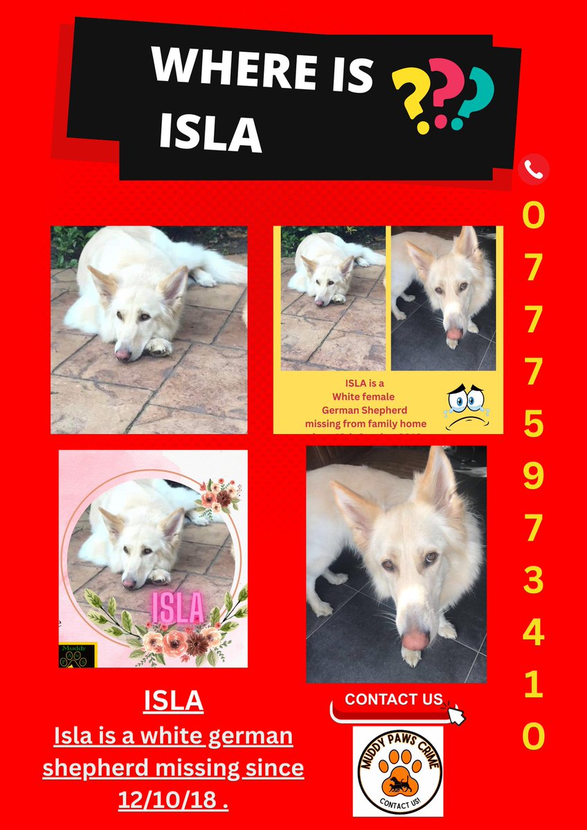 muddypawscrime's tweet image. On 4th August Isla will be 10 years old . Her family have not seen her for almost 7 years
Can we ask all to do a big share on all social media platforms and next door app in your area
@MissingPetsGB @HunnyJax