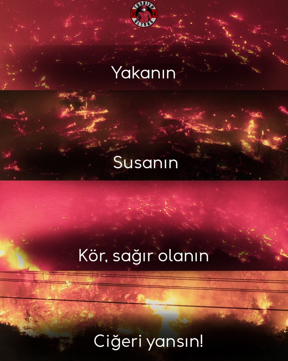 UltrasTurkish's tweet image. Ciğerimizi yaktınız, ciğeriniz yansın! #TürkiyeYanıyor