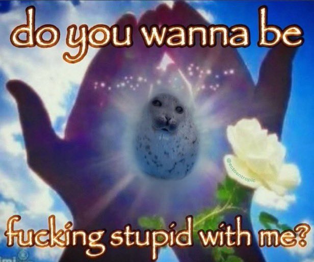 girlycide's tweet image. ALERTING  all  oomfs 
th  big  plump  seal 
is  coming  UR  way  !!!!