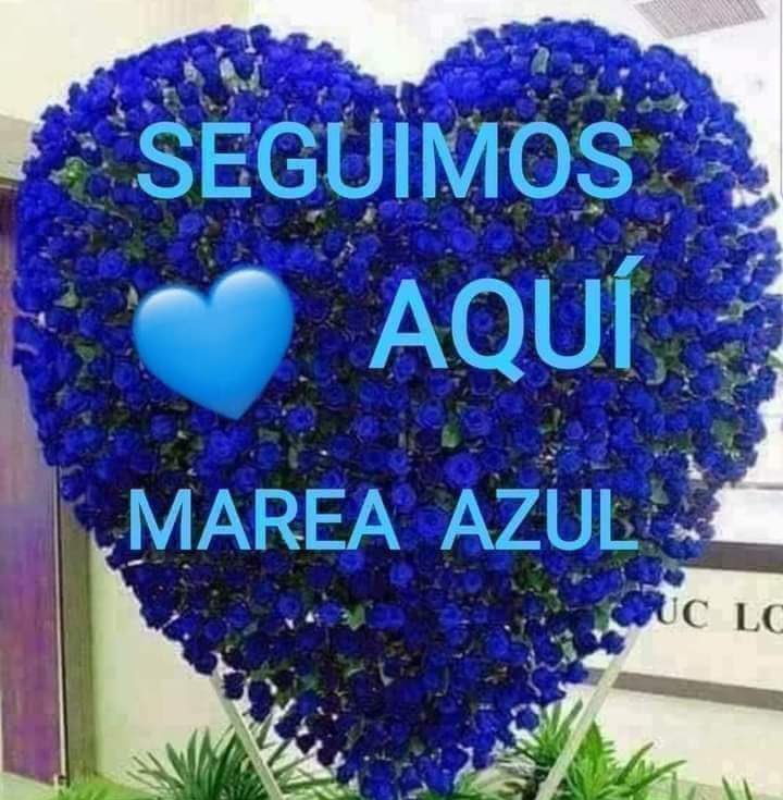 Iria🌸 (@iria_celta) on Twitter photo <a href="/AsomadaAlEspejo/">Espejo Azul</a> <a href="/PetroMareaAzul/">Petro Marea Azul 🦋🦋🦋🦋</a> <a href="/tuneadora432/">Santa Paciencia</a> <a href="/arancha2458/">Arancha</a> <a href="/sonajitaplatea/">sonajita</a> <a href="/Mariska__6/">Mariska 😎🤍🍀</a> <a href="/MujerOasis/">Oasis</a> <a href="/Gloria26326305/">GLORIA 💙</a> <a href="/macasaga2/">M.Carmen 💛🤗🍀</a> <a href="/Mari777Bel/">MARIBEL 🦋🦋☘️🦋🦋</a> <a href="/Marimar66842849/">Marimar</a> <a href="/1528_elviri/">Elv I🎗️a</a> <a href="/campoy64160/">caballa 🌊💙💦</a> <a href="/Azucena412130/">Azucena</a> <a href="/slona6216/">Slona</a> <a href="/Objetiva24/">Objetiva</a> <a href="/NT83631763/">N. T</a> <a href="/Lanzar25/">Lanza</a> <a href="/Rogelia50318250/">Rogelia</a> <a href="/FuerzaMareaAzul/">LaMareaNoSeRinde</a> <a href="/mmloopez/">Maribel Márquez López</a> <a href="/TalVez57/">Siempre</a> <a href="/Azul_MAR0050/">A z U l M a R 💫⭐️💫</a> <a href="/JulietaSer66074/">Julieta Serrano</a> <a href="/AlexandraEsAzul/">Alexandra</a> <a href="/DylaneAzul/">Dylane</a> <a href="/Manolito0003/">Manolito</a> <a href="/PaulaOA03/">Paula</a> <a href="/AnaMemi29/">Any Marea Azul 💙💙💙🌊🌊🌊</a> <a href="/Luisa43833694/">EN💙CONTRA💦DE💙LAS💦INJUSTICIAS</a> <a href="/KaladanBCN/">💦🌊💙⚖️💦🌊💙⚖️💦🌊💙⚖️</a> <a href="/mychurry56699/">@MyChur👠y</a> <a href="/Lirio74056/">Lirio</a> <a href="/Hortensia380668/">Hortensia</a> #YoMeRebelo27J
#YoMeRebelo28J
El Karma no olvida, sólo espera el momento perfecto ⏳️
Marea Azul 🌊 <a href="/AsomadaAlEspejo/">Espejo Azul</a> <a href="/PetroMareaAzul/">Petro Marea Azul 🦋🦋🦋🦋</a> <a href="/tuneadora432/">Santa Paciencia</a> <a href="/arancha2458/">Arancha</a> <a href="/sonajitaplatea/">sonajita</a> <a href="/Mariska__6/">Mariska 😎🤍🍀</a> <a href="/MujerOasis/">Oasis</a> <a href="/Gloria26326305/">GLORIA 💙</a> <a href="/macasaga2/">M.Carmen 💛🤗🍀</a> <a href="/Mari777Bel/">MARIBEL 🦋🦋☘️🦋🦋</a> <a href="/Marimar66842849/">Marimar</a> <a href="/1528_elviri/">Elv I🎗️a</a> <a href="/campoy64160/">caballa 🌊💙💦</a> <a href="/Azucena412130/">Azucena</a> <a href="/slona6216/">Slona</a> <a href="/Objetiva24/">Objetiva</a> <a href="/NT83631763/">N. T</a> <a href="/Lanzar25/">Lanza</a> <a href="/Rogelia50318250/">Rogelia</a> <a href="/FuerzaMareaAzul/">LaMareaNoSeRinde</a> <a href="/mmloopez/">Maribel Márquez López</a> <a href="/TalVez57/">Siempre</a> <a href="/Azul_MAR0050/">A z U l M a R 💫⭐️💫</a> <a href="/JulietaSer66074/">Julieta Serrano</a> <a href="/AlexandraEsAzul/">Alexandra</a> <a href="/DylaneAzul/">Dylane</a> <a href="/Manolito0003/">Manolito</a> <a href="/PaulaOA03/">Paula</a> <a href="/AnaMemi29/">Any Marea Azul 💙💙💙🌊🌊🌊</a> <a href="/Luisa43833694/">EN💙CONTRA💦DE💙LAS💦INJUSTICIAS</a> <a href="/KaladanBCN/">💦🌊💙⚖️💦🌊💙⚖️💦🌊💙⚖️</a> <a href="/mychurry56699/">@MyChur👠y</a> <a href="/Lirio74056/">Lirio</a> <a href="/Hortensia380668/">Hortensia</a> #YoMeRebelo27J
#YoMeRebelo28J
El Karma no olvida, sólo espera el momento perfecto ⏳️
Marea Azul 🌊