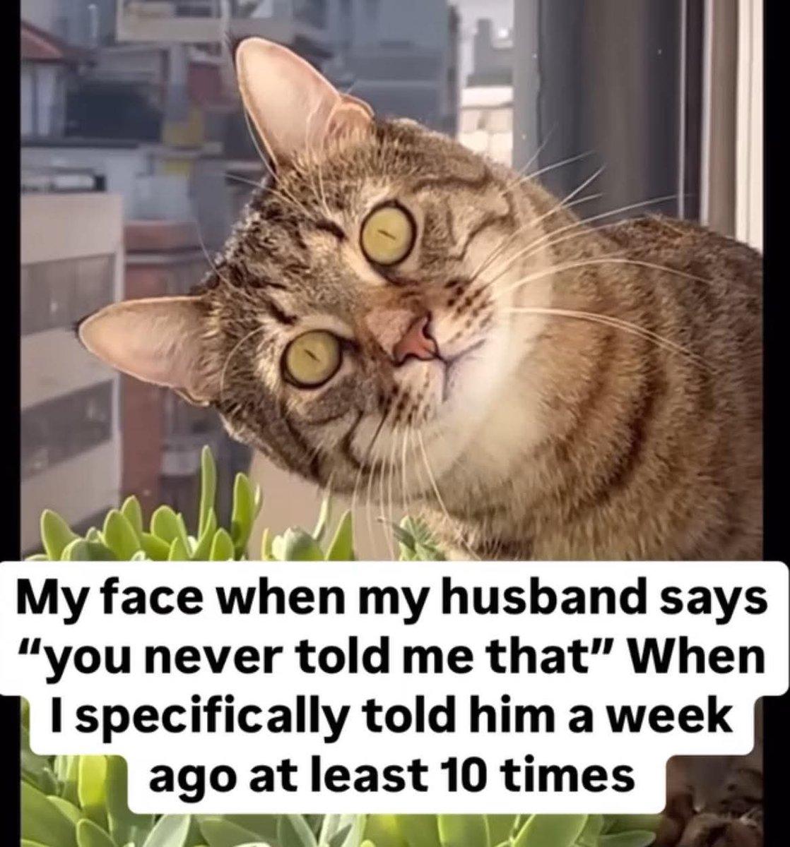 Starlakitty's tweet image. Bruh. Every. Single. Time.
