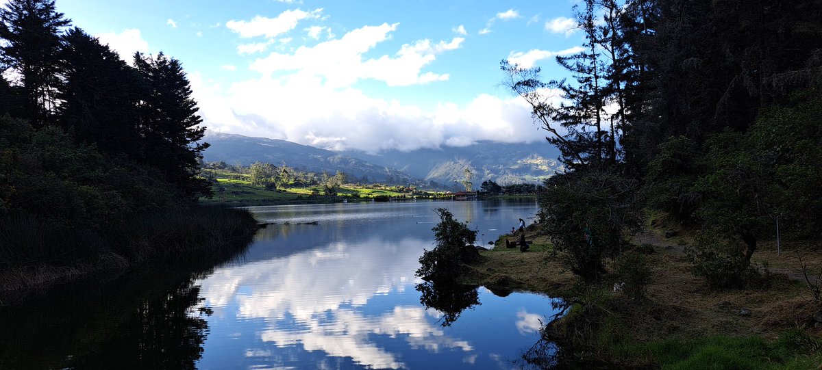 0x_forexus's tweet image. Ecuador!