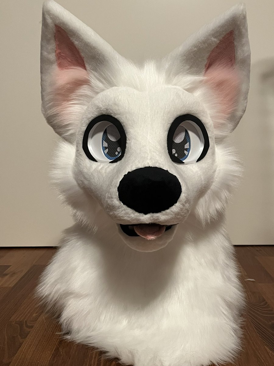 RedMoonHawk's tweet image. Cute premade fursuit head is done ✅
It’s on my new base
Comes with
3d printed headbase
Size adjustable head strap
3d follow me eyes
Magnetic size adjustable tongue
Resin teeth