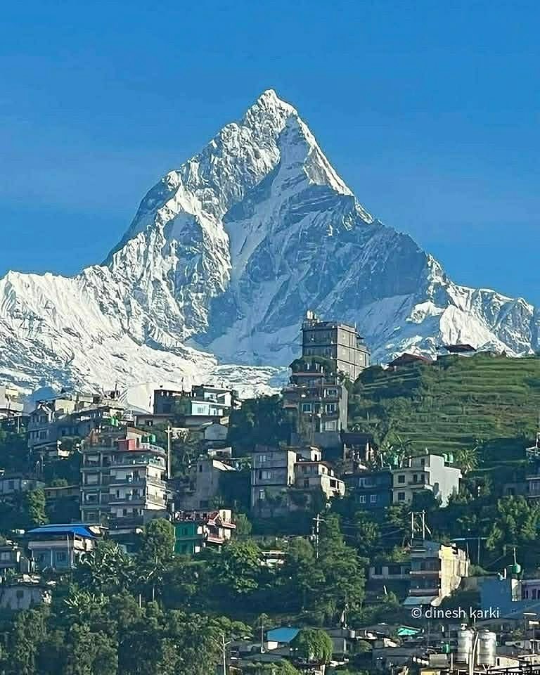nepalplanettrek's tweet photo. 📍 Mount Fishtail (Machhapuchhre), Nepal
A sacred peak that remains unclimbed — standing tall and serene over Pokhara. 🌄
Photo: Dinesh Karki
https://t.co/C8TL7cMqm4
WhatsApp +977984-1613822
#Nepal #Pokhara #Fishtail #Machhapuchhre #NepalTrek #Himalayas #Nepalplanettreks https://t.co/WUfdFA05k2