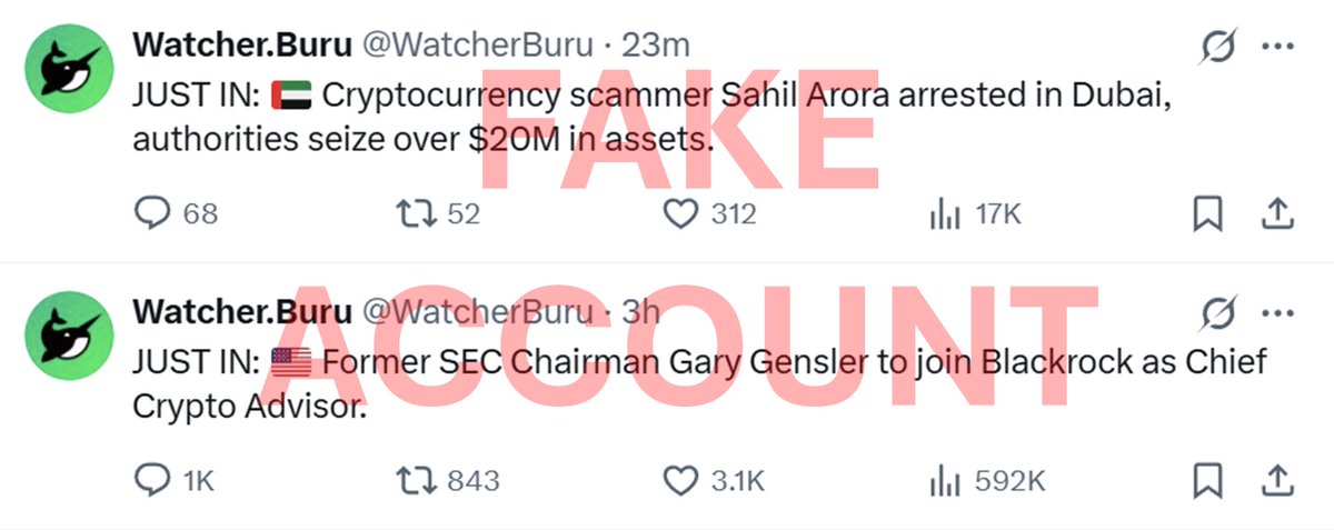 Tweet media one