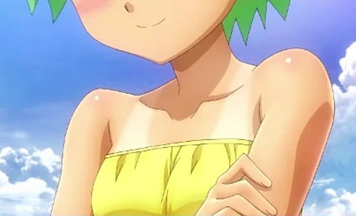 バカとテストと召喚獣（アニメ）のエロシーン2