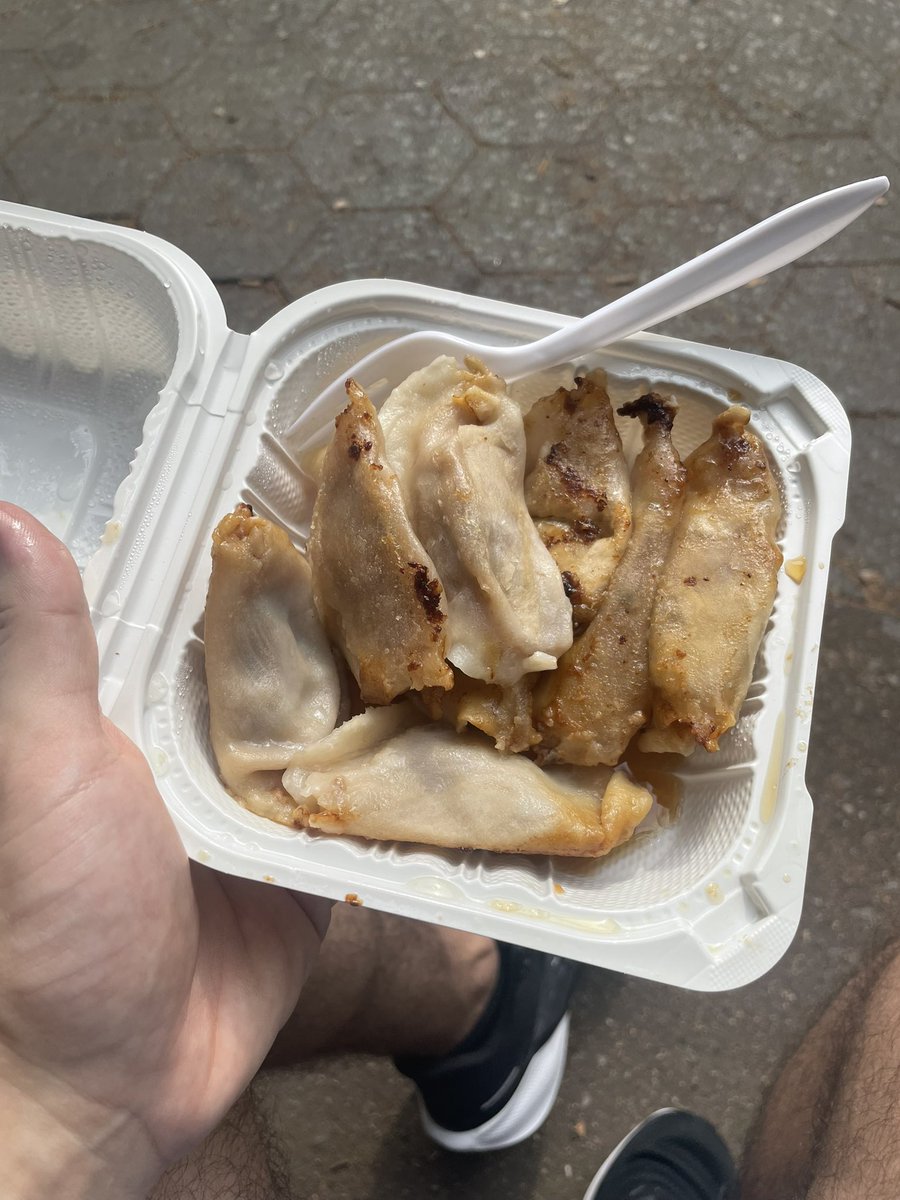 $5 for 10 dumplings best deal in nyc