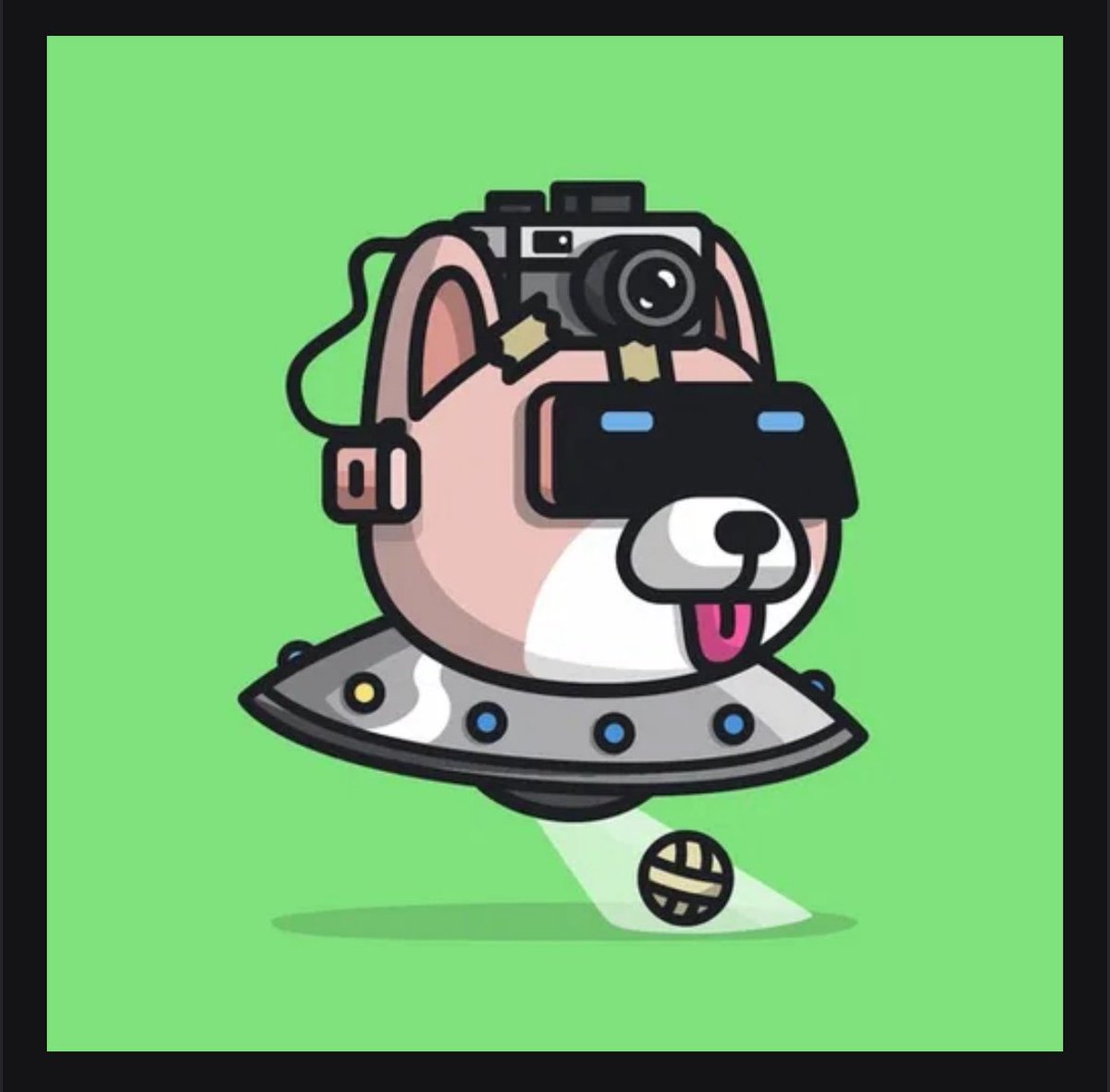 cryptohydrate's tweet image. Bought 8 robopets by @robotosNFT on @opensea just cuz they’re cute
I think I have like 20 now haha