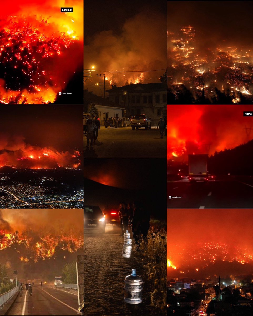 Kendi öz yurdumda ben miyim garip? 
Beni bir köşeye atan utansın.
Eğilmiyor diye kurdu hor görüp, 
iti el üstünde tutan utansın!