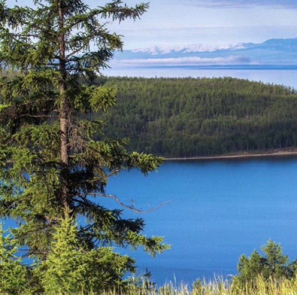 Зуны адаг сарын шинийн 3-ны өдрийн мэнд ээ