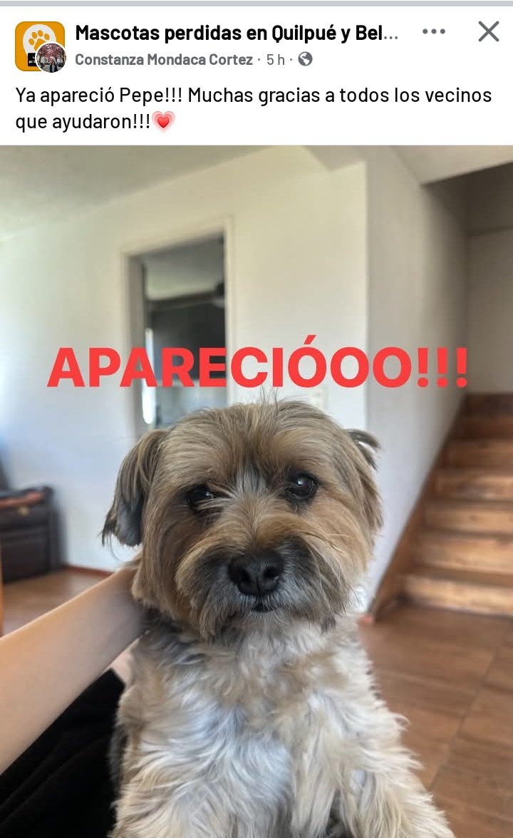 Actualización Gran noticia.el pequeño está Con su familia 🐾🐾❤️🙏🥰😘
