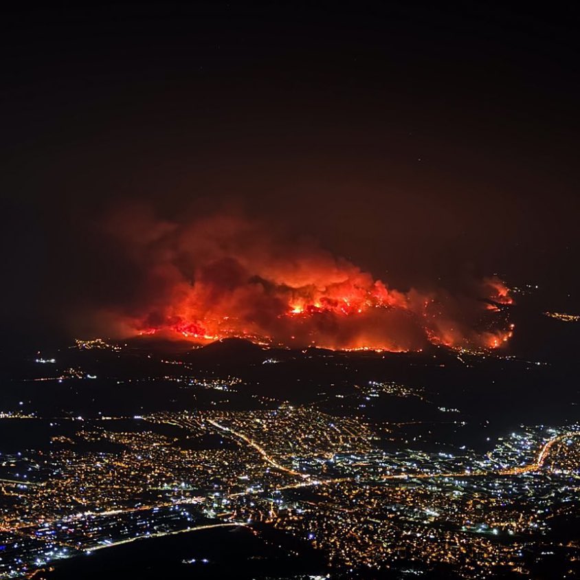 Doğan Avcıoğlu tweet media