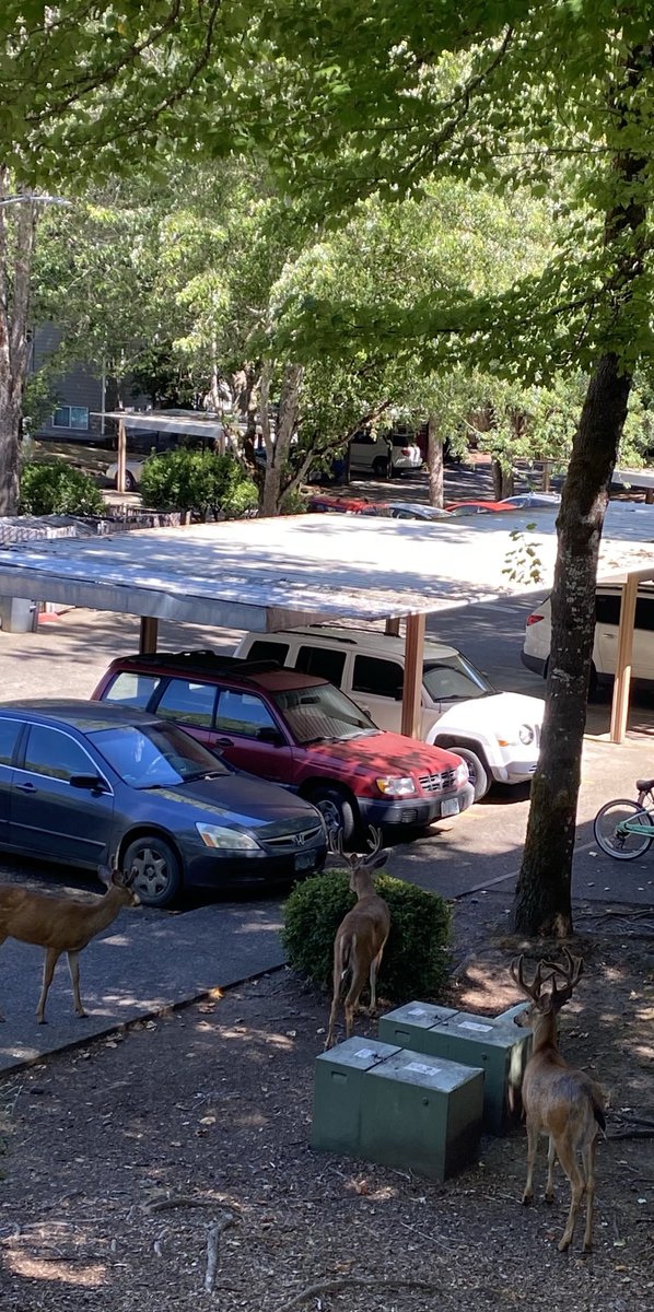 Stag party at my place… they’re looking for their designated driver🙄🤭