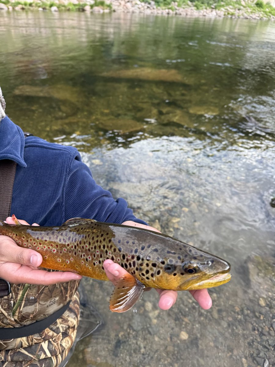 Taylor River, Colorado.