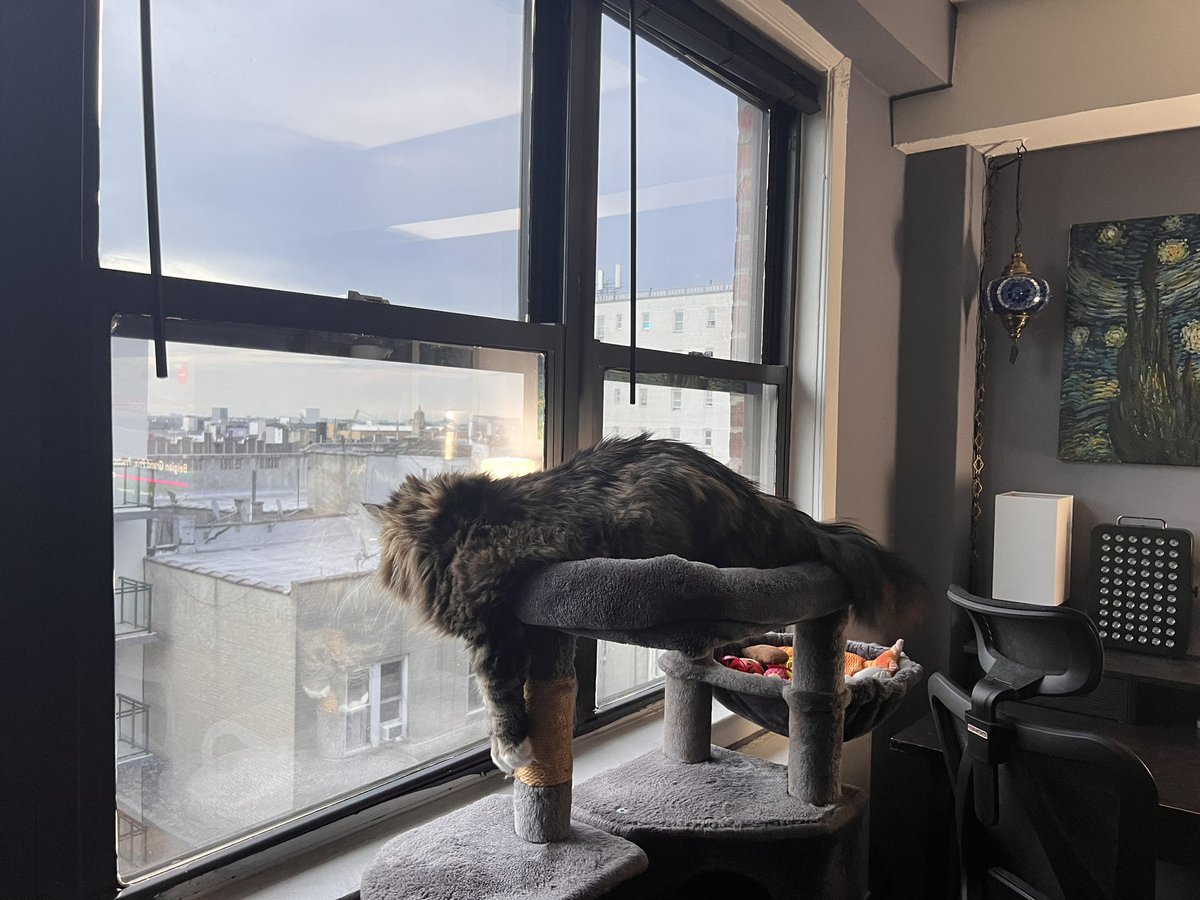 Vapo Rob tweet media