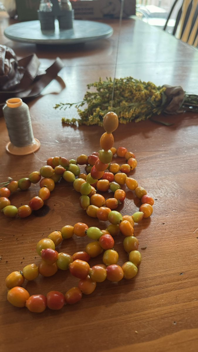 therawsol's tweet image. Making rosehip bracelets &amp;amp; necklaces 🌹