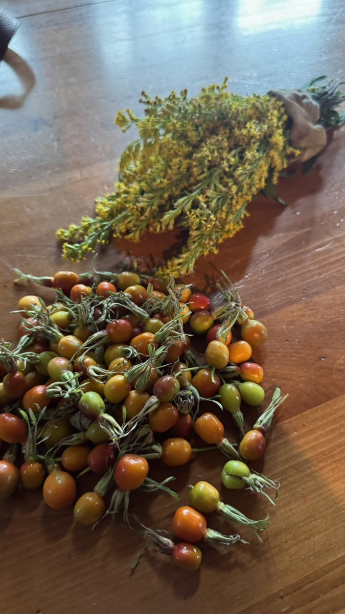therawsol's tweet image. Making rosehip bracelets &amp;amp; necklaces 🌹