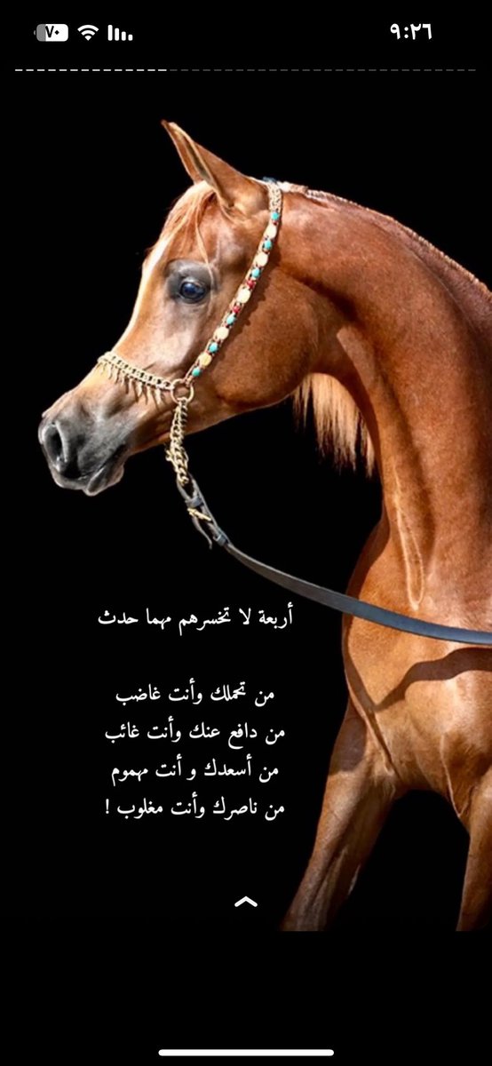 amoo (@amoonlight2009) on Twitter photo 