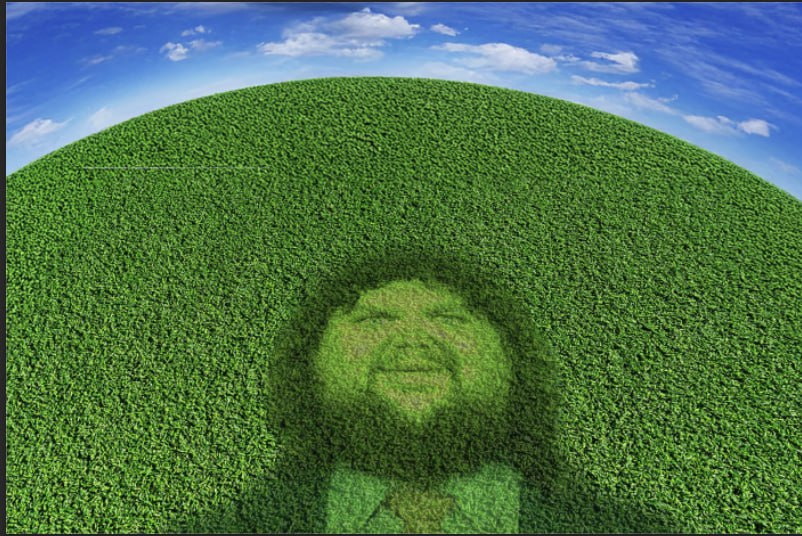 CoinSage_2k's tweet image. get off the screen and touch grass before monday

the grass: only if you say pwease first