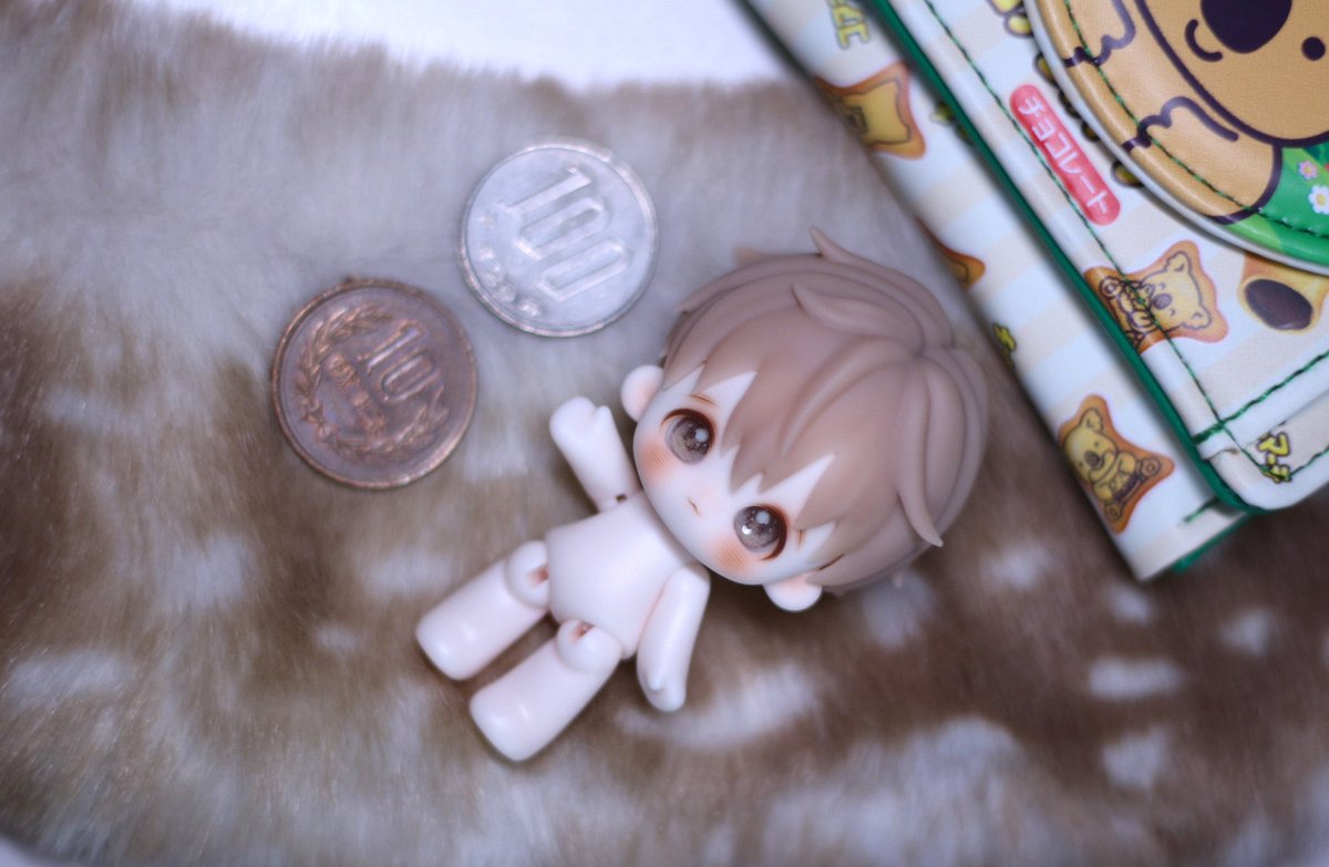 アイシードール♪ 即納 アイシードール ミディサイズ2体 おたのしみBOX 着せ替え