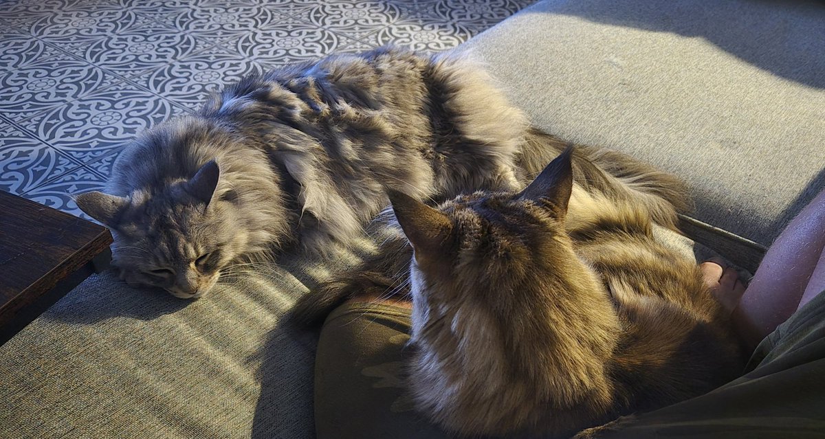 How is one meant to get a can?