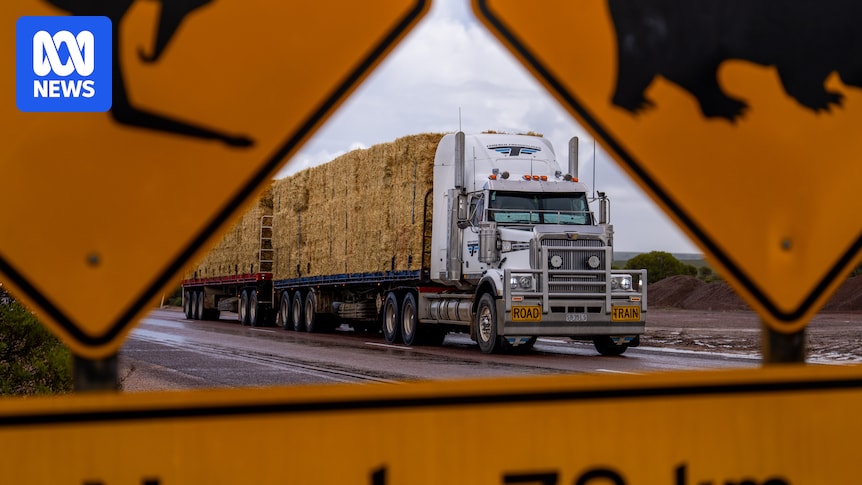HumanisingMen's tweet image. Drought relief truck convoy brings fodder to farms in time-honoured tradition abc.net.au/news/2025-07-2… #hay #nullarbor #drought