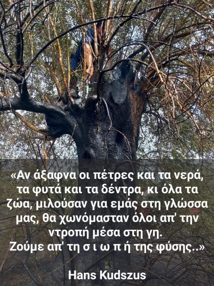VanaHioti's tweet image. #φωτιες