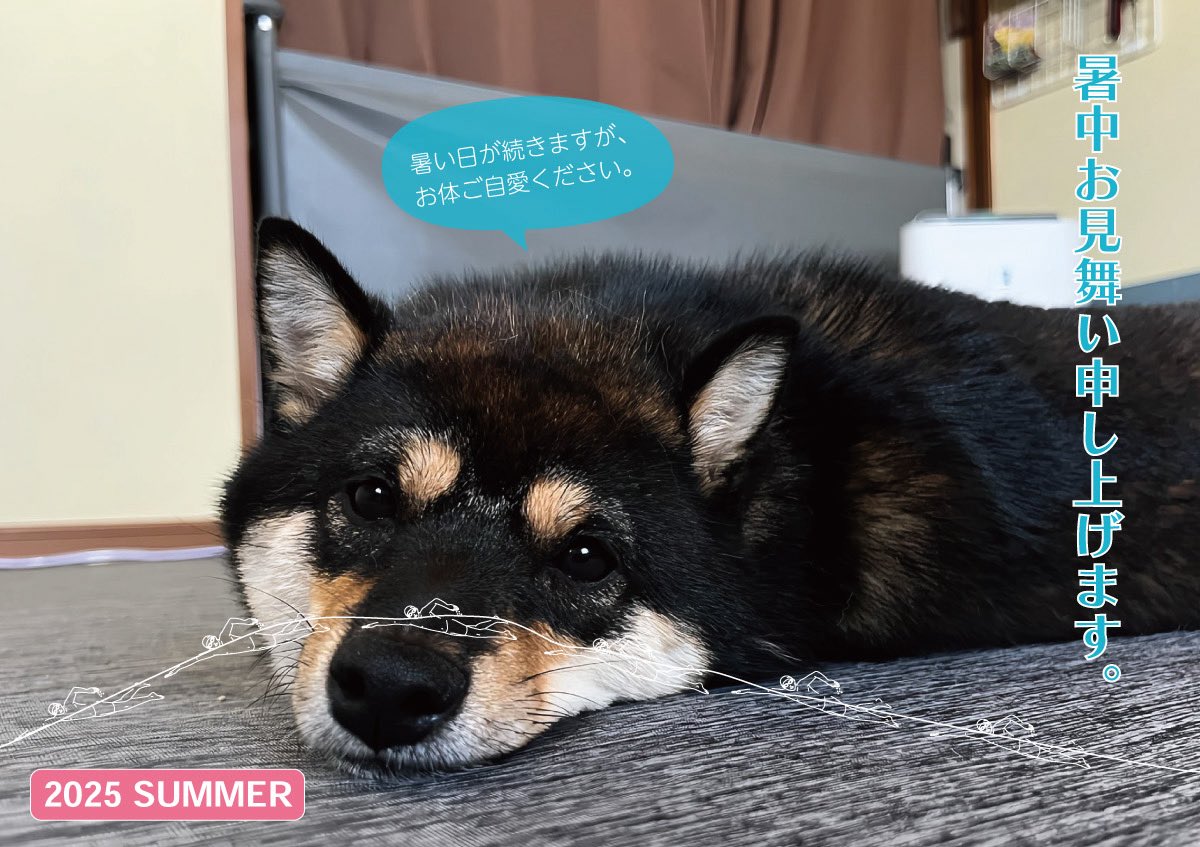 おはようございます☀
今朝は7時でもう29℃あるよ🫠
お外好きだけど今日も暑さヤバイなぁ
皆様、熱中症に気をつけてくださいね✨