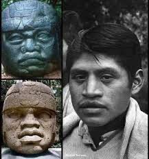 🌴Wantok🇸🇧🤙🏿 tweet media