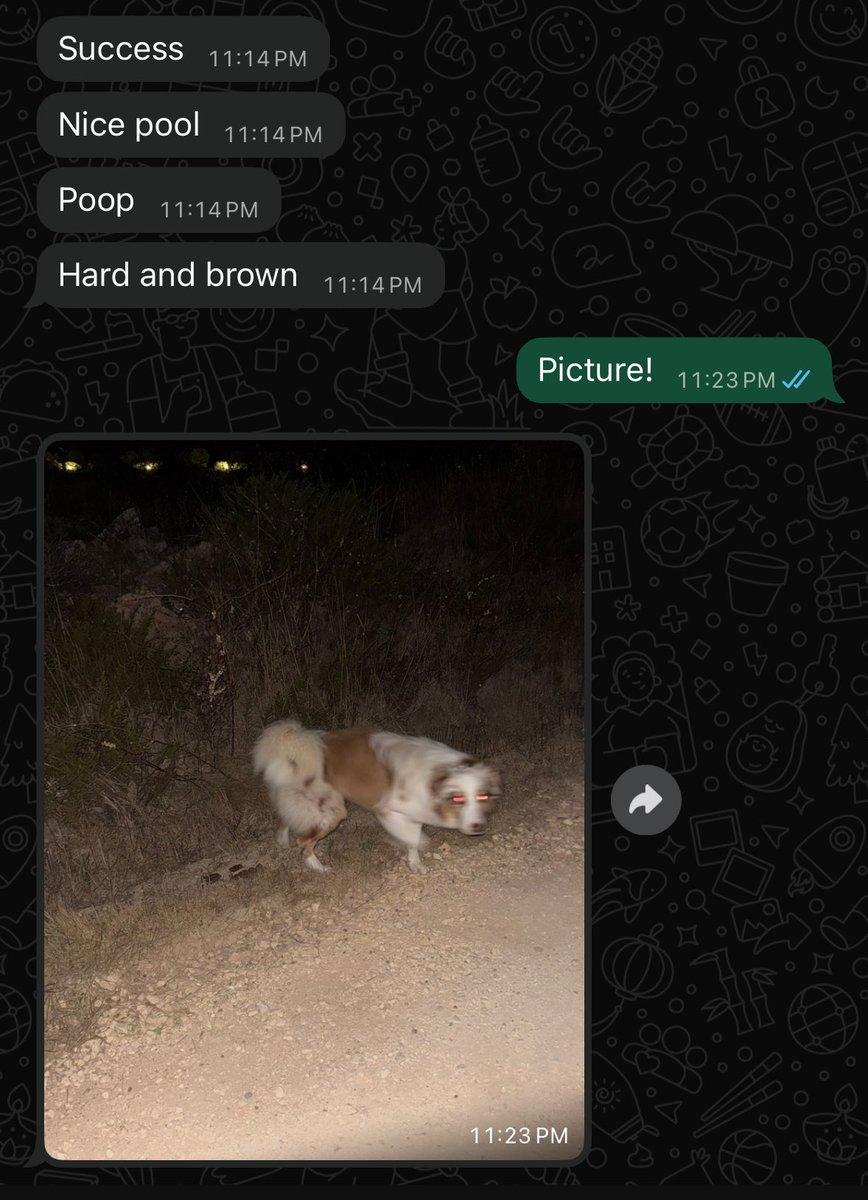 переписка с любимым 💕