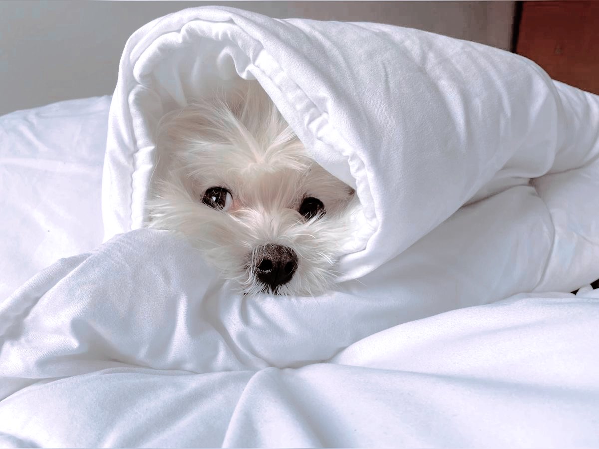 ⋆˚🗞️｡ 𝓛. 𝓛𝐀𝐍𝐄 .ᐟ tweet media