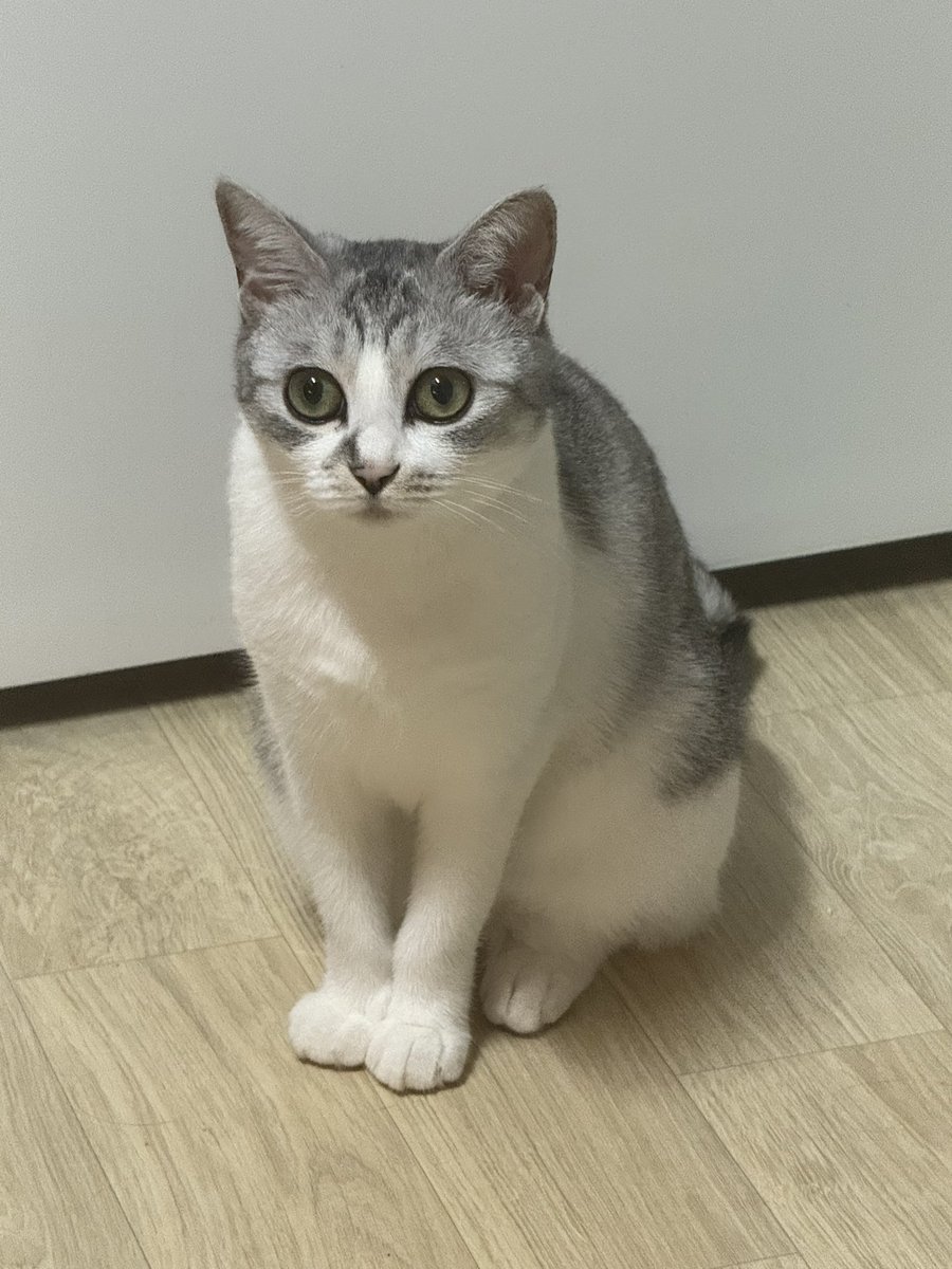 Iover_1016's tweet image. 물끄러미…