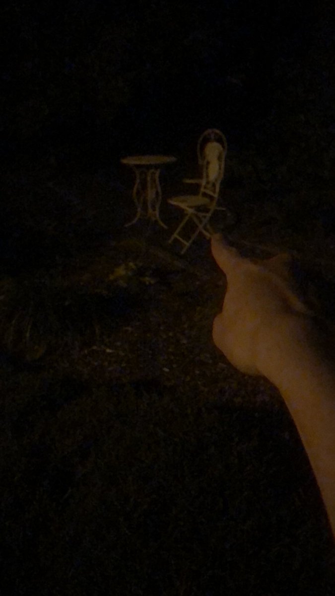 4e4wv's tweet image. Been getting in to pointing at things lately