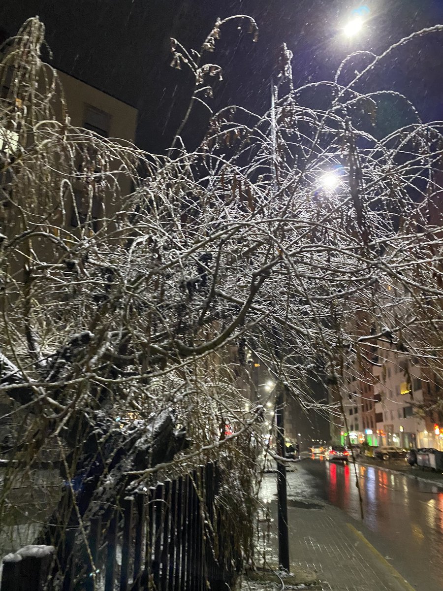 asvetsedikush's tweet image. I miss winter so much ❄️