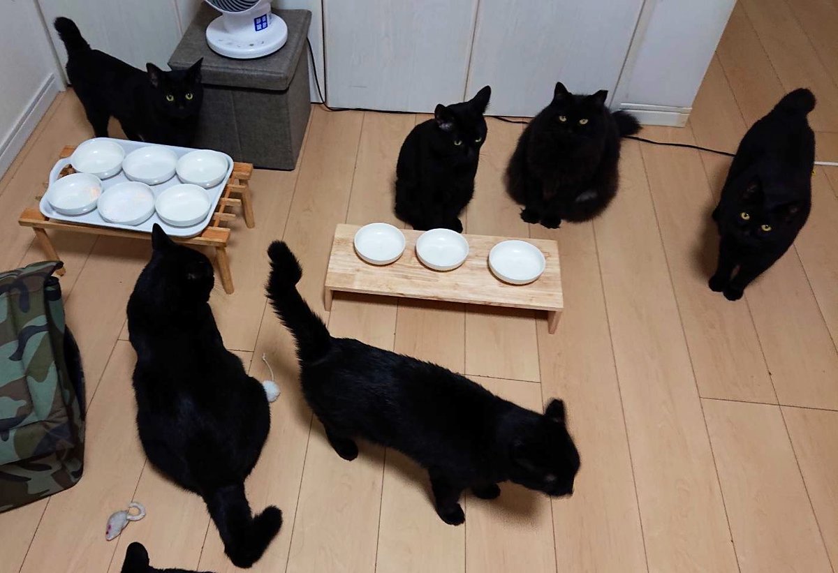 arca20220921's tweet image. 急いで準備