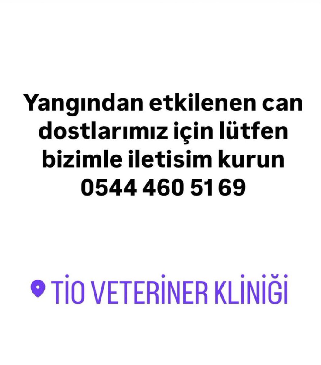BURSA'da yangından etkilenenler icin YURT ve VETERİNER bilgileri