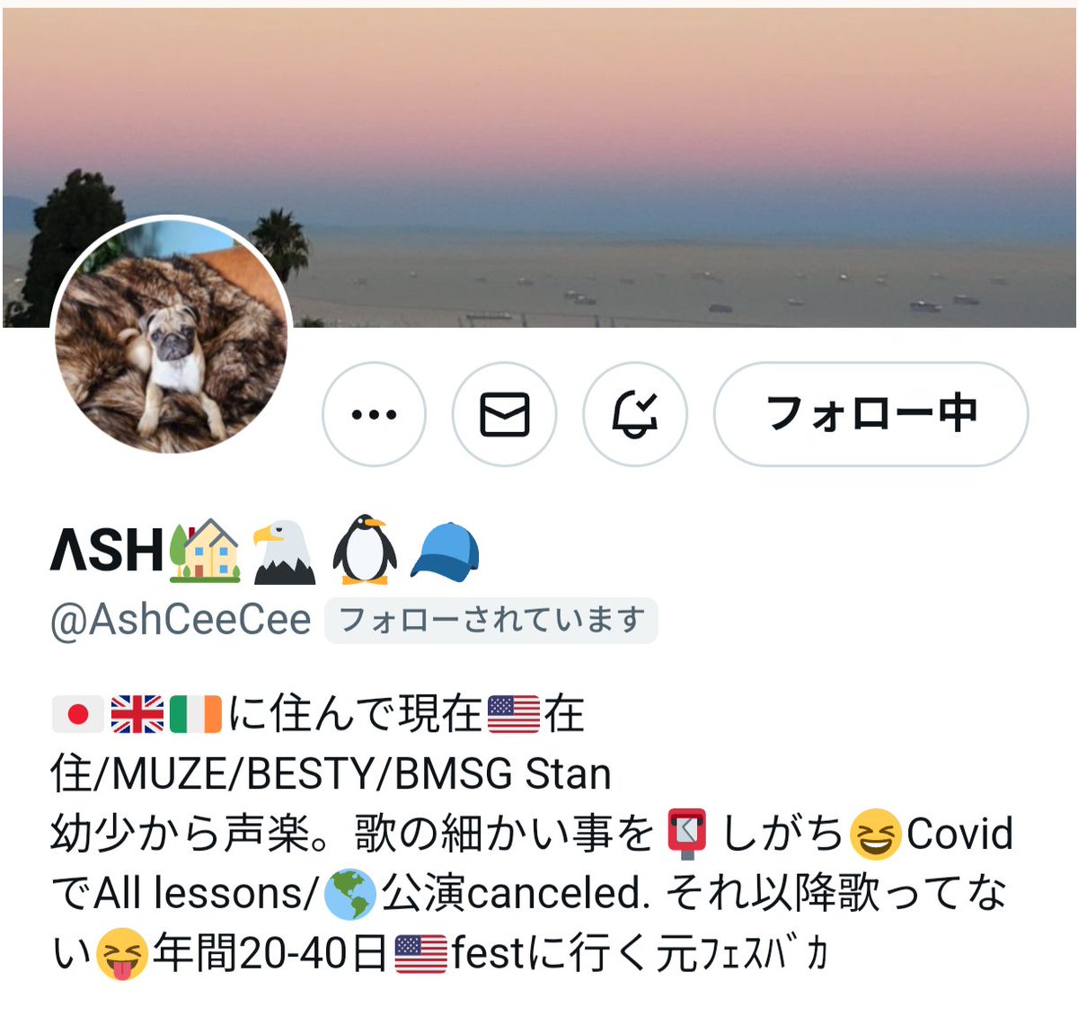 （7月VIP 10%off中) レオです❣️0627 🦁🦁ちゃんもも🦁🦁🦁🎁 (@rPvb9Kdwy7sFcxc) / X