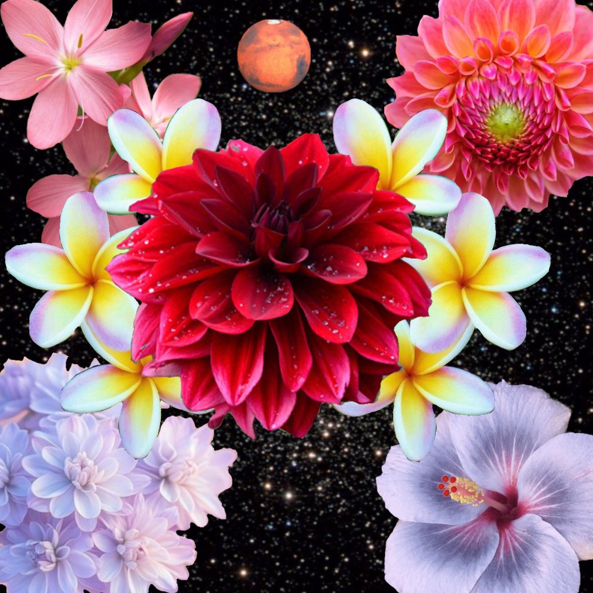 RUFF. (@ruffiankick_) on Twitter photo "bloomin in the void" out now on bandcamp "bloomin in the void" out now on bandcamp